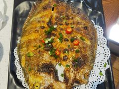 -九府羊·鲜羊火锅·烤串(新华路店)