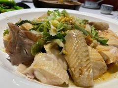 招牌葱油鸡-粤·向群饭店(龙津东路总店)