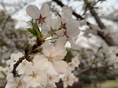 -上海交通大学(闵行校区)