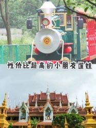 -麦粒鸟亲子游