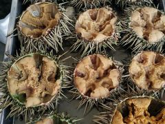 -海胆小馆(东北水饺·春柳店)