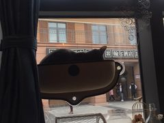 -吉丁鸟咖·异宠·寄养