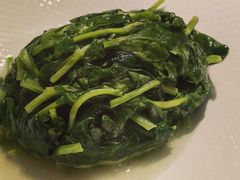 清炒豆苗-绿雅酒家(江西中路店)
