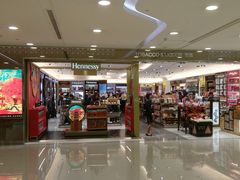 -升恒昌免税商店(台北松山机场店)