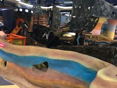 -绍兴梦享海洋公园