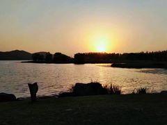-东湖落雁景区