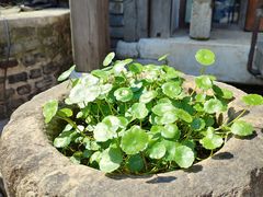 -茶肆(仙林店)