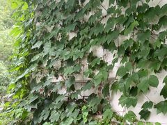 -溪畔•新徽菜(碧湖云溪店)