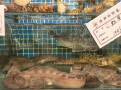-鲜得莱渔港·小平岛海胆馆(七贤岭店)