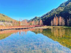 -广州市石门国家森林公园