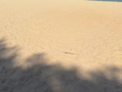 -巴拉湾海滩