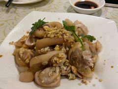 -百利鸽王(紫薇路店)