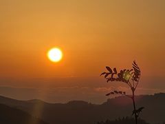 -武陵山森林公园