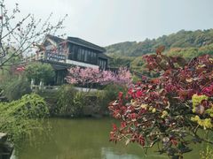 -灵岩山风景区