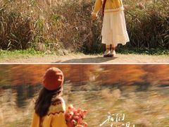 -白鹭湾湿地公园