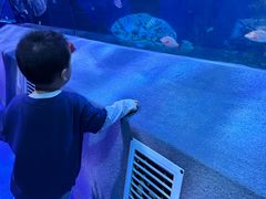 -太平洋海底世界