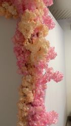 -DR.JY祛痘皮肤管理