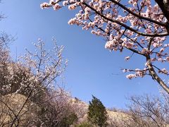 -北京凤凰岭