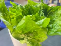 -燚青春东北泥炉烤肉(百合店)