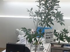 -天使咖啡(兴新街店)