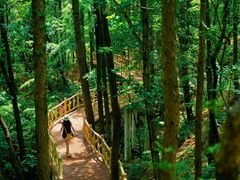 -洛阳白云山景区