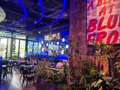 -bluefrog蓝蛙(皇庭广场店)