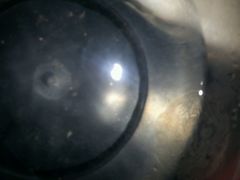 android_upload_pic-巽寮湾