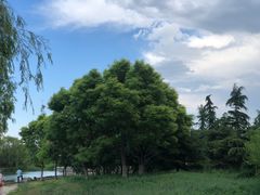 -大兴滨河森林公园