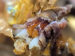 -龙虾奇迹(大华三路店)