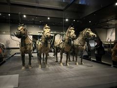-秦始皇帝陵博物院-丽山园