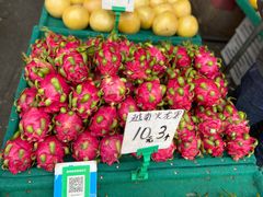 火龙果-红星农博物流中心