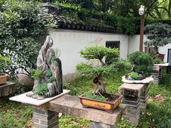 -上海醉白池公园