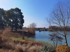 -苏州太湖国家湿地公园