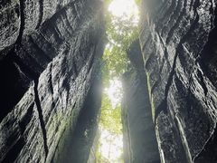 -梦幻奥陶纪景区