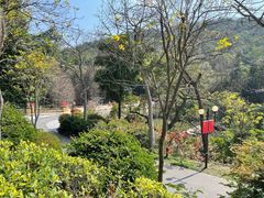 -云溪植物园
