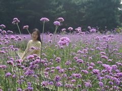 -云峰山自然风景区