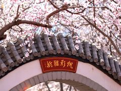 -桃花堤公园