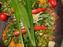 -云海肴·汽锅鸡·云南菜(天山百盛优客店)