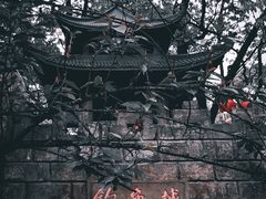 -南山植物园