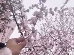 -碑林公园
