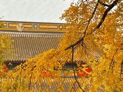 -西园戒幢律寺