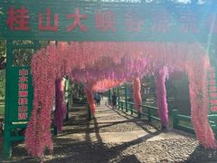 -桂山风景旅游区