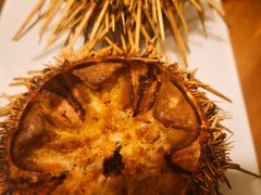 -海胆小馆(东北水饺·春柳店)