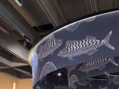 -云海肴云南菜·蒸汽石锅鱼(青岛万象城店)
