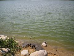 -大兴滨河森林公园