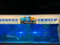 -成都浩海立方海洋公园