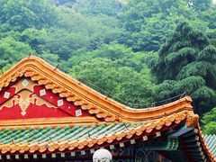 -临江·阅炉