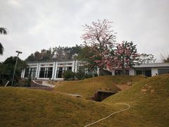 -凤阁楼果木烧鹅(鹤山陈山店)