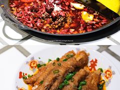 -朱光玉火锅馆(正弘城店)