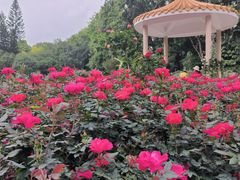 -人民公园(罗湖区)